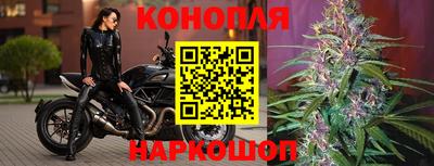 ПСИЛОЦИБИНОВЫЕ ГРИБЫ Беслан