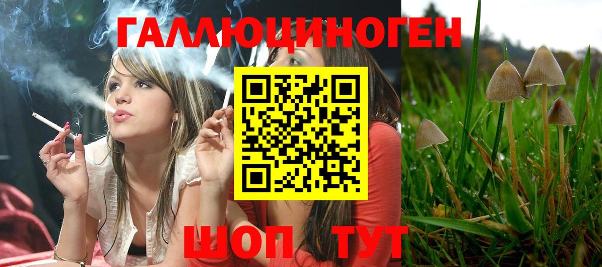 Качканар  Галлюциногенные грибы Cubensis  Вход с VPN  Псилоцибиновые грибы Psilocybine cubensis 